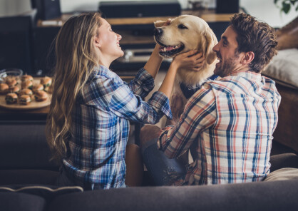 Pets – are they family or assets?