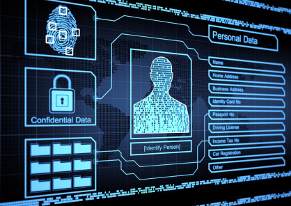 Please i-DIN-tify yourself: Director Identification Numbers 